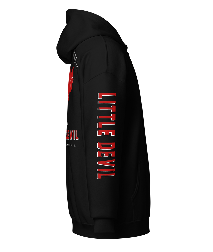 
                  
                    Right side view - Little Devil Heavy Zipper Hoodie in black, Asphalt Anarchist branding, retro devil graphic, and sleeve text detail. AI-generated image.
                  
                