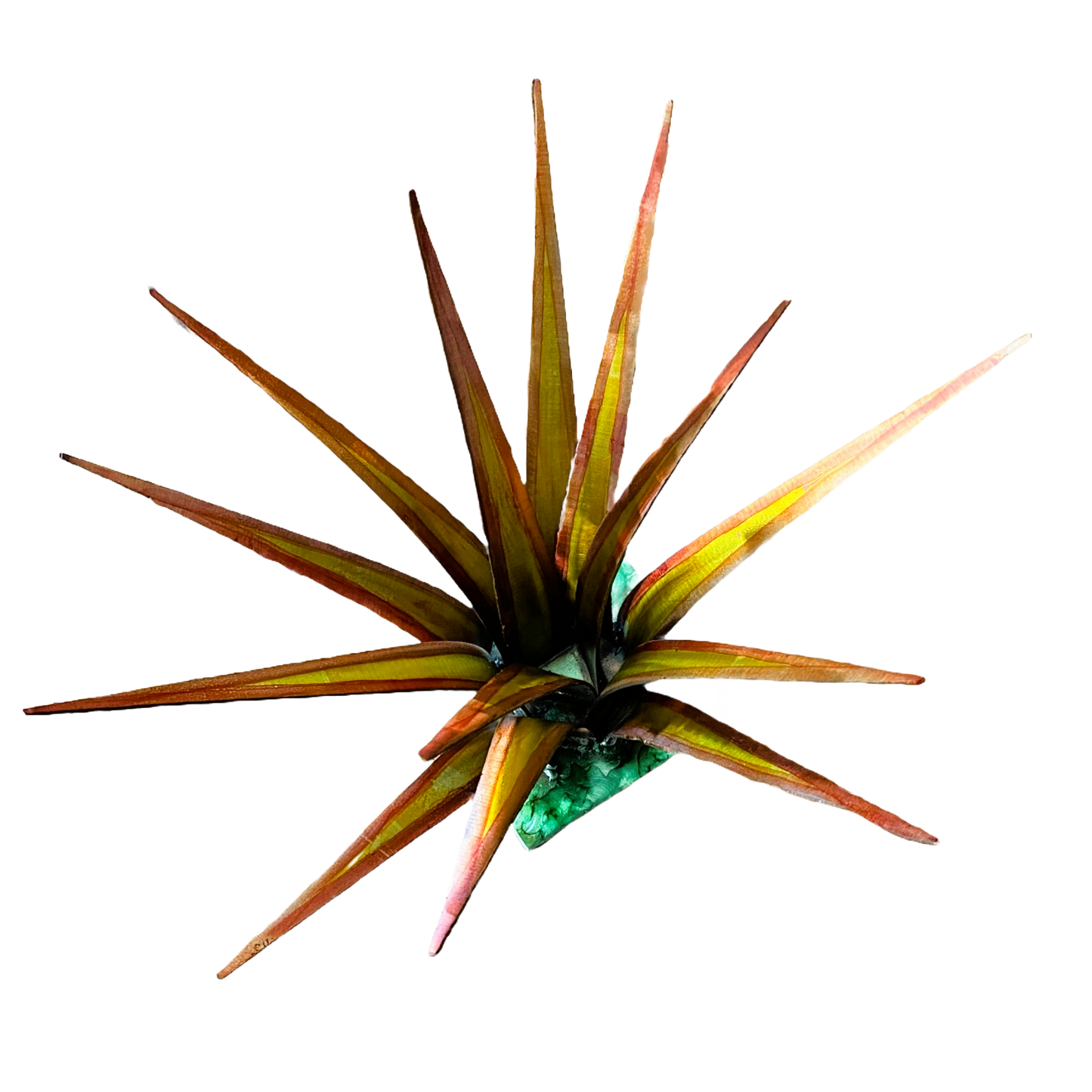 
                  
                    Succulent Metals Welded Artistry Handmade Artisan Metalcraft
                  
                