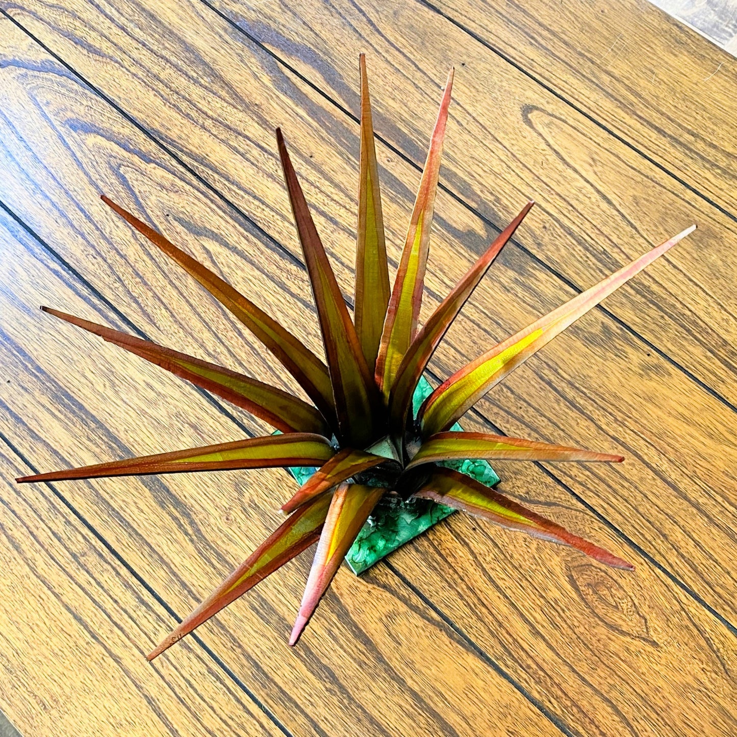 
                  
                    Succulent Metals Welded Artistry Handmade Artisan Metalcraft
                  
                